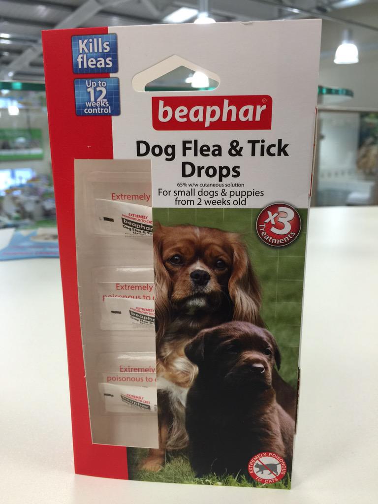Vets4PetsAltrin's tweet photo. A #cat was found #seizuring after being given an over-the-counter #flea treatment FOR #DOGS. Always read the #label. http://t.co/KIdV7VBg5w