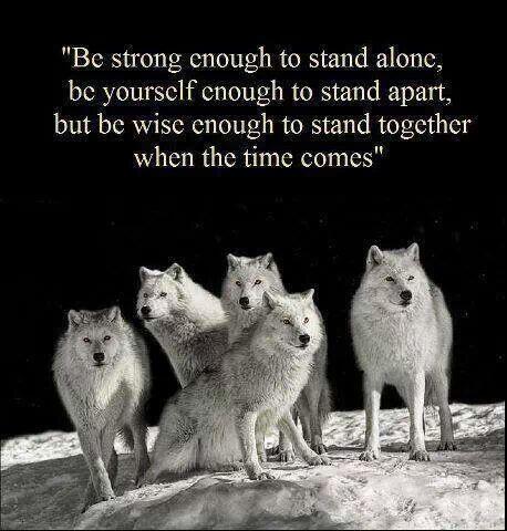cryptostorm_is's tweet photo. Our heartfelt thanks for the support & encouragement we've felt in our long, deep hunt for #CAfree network security. http://t.co/JMXgAlNJn7