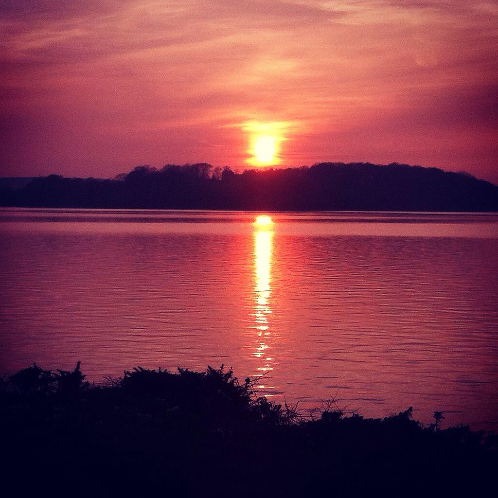 AntonyWoodlandG's tweet photo. Sunset over the River Lynher from the Antony Woodland Garden.
#antonywoodlandgarden #cornwall #riverlynher #sunset http://t.co/uqWdbt0fOI