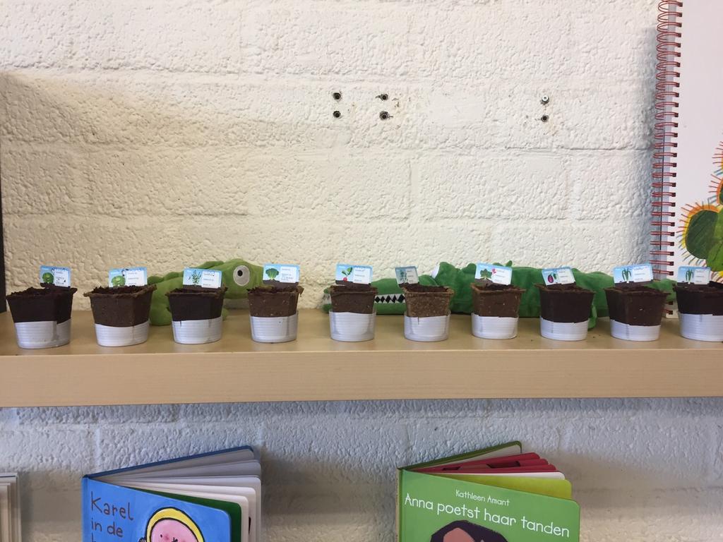 #Moestuintjes van kinderen #spelenderwijs #BH_bram #Overvecht gesponserd door <a href="/albertheijnxl/">Albert Heijn XL</a>