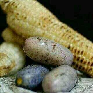 YMSML's tweet photo. Nigerianz favourite http://t.co/kYOdJOIcZA
