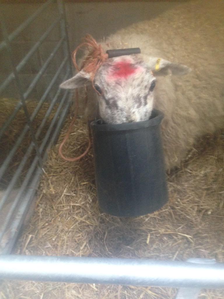 Always makes me laugh