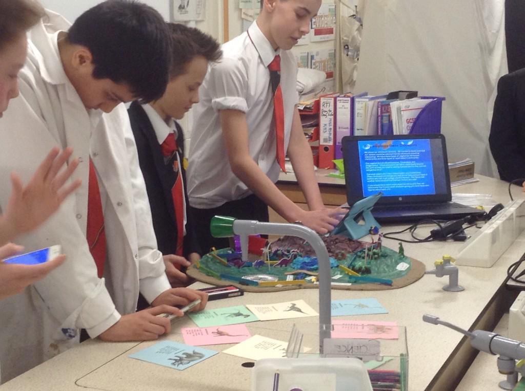 stuff we have done this week. dinosaur island presentations