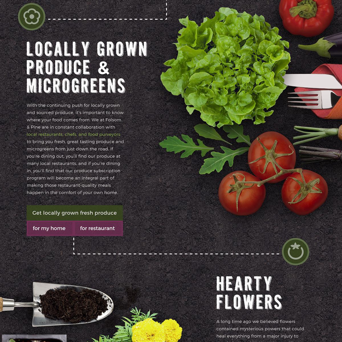 We are stoked partnering with Folsom &amp; Pine Farm on their new website and marketing needs folsomandpine.com