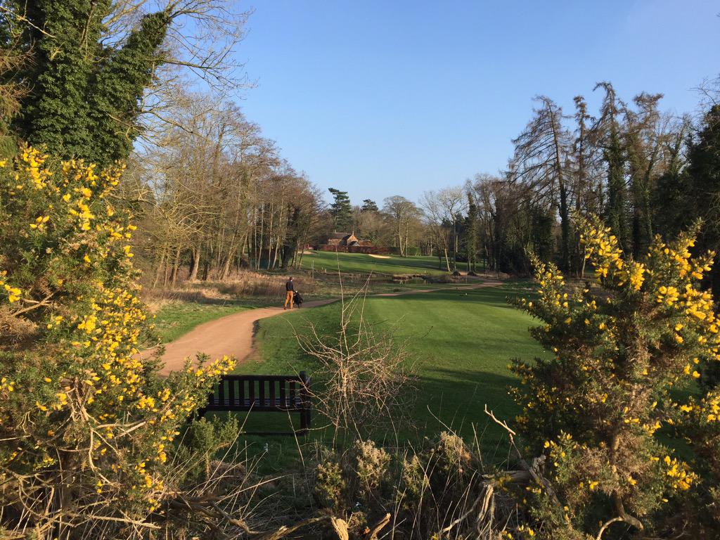 We teed off in an eclipse; finished in the gloaming; between a blaze of glory #AllDayGolf @FrilfordHeathGC @ruaidhre