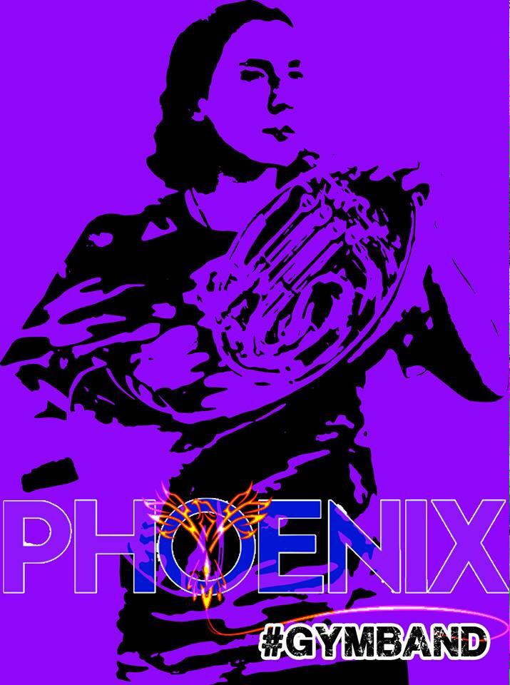 PhoenixCorpsFL's tweet photo. Season 1.2 to be announced very soon!!!  #riseup #gymband http://t.co/O8pdugdWs3