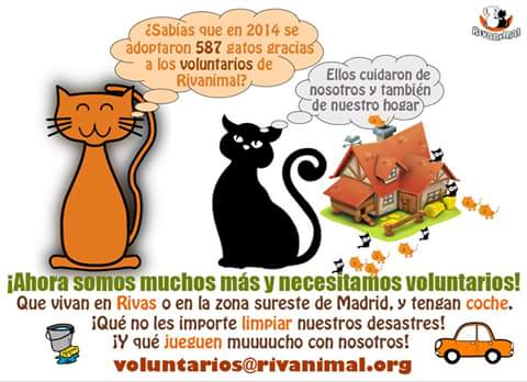 Rivanimal's tweet photo. Os pedimos vuestra ayuda, colaboración, difusión...
Necesitamos CASAS DE ACOGIDA nos vemos saturados #Madrid #SOScoro http://t.co/VJ783yf3UQ