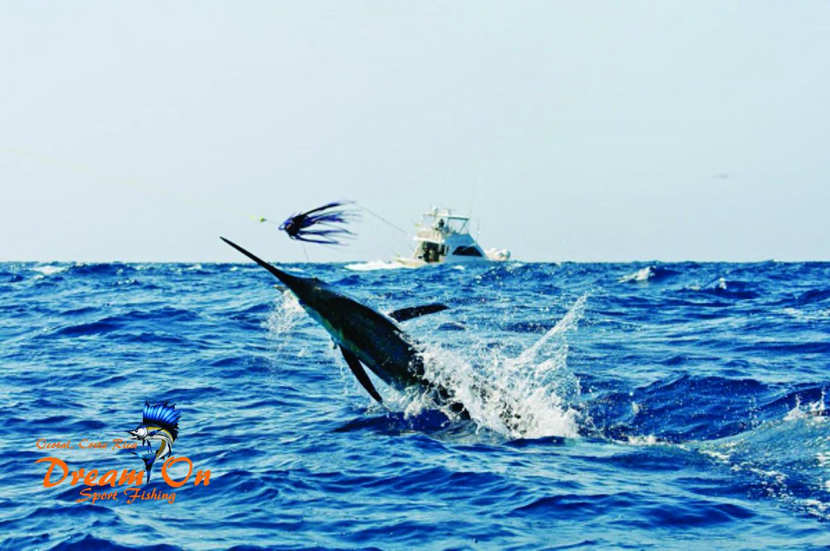 costaricagraham's tweet photo. @jamiebraun007 http://t.co/twzzvZ2Zni