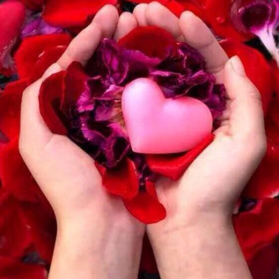 alaa19829501's tweet photo. سألوني عن دواء للعداوة ... قلت الإحسان
 سألوني عن دواء للكره ... قلت الحب
 سألوني عن دواء للأوجاع ... قلت الإبتسام http://t.co/zRkHRXL4GR