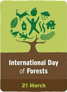 "To build a sustainable, climate-resilient future for all, we must invest in our world's forests," -Ban Ki Moon-