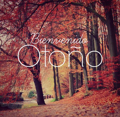 ochobragado's tweet photo. "BIENVENIDO OTOÑO" http://t.co/ywRAFtTdin