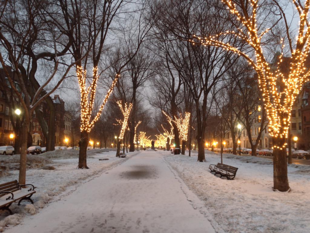 Just a dusting and it's a wonderland again. #snowmageddon2015 #BostonMA