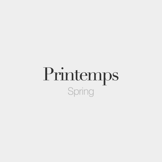 JuanVertizxx's tweet photo. Printemps (masculine word) | Spring | /pʁɛ̃.tɑ̃/ #frenchwords http://t.co/iwulwetUfc