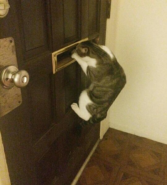 StealingHearts_'s tweet image. Waiting for bae to come over like