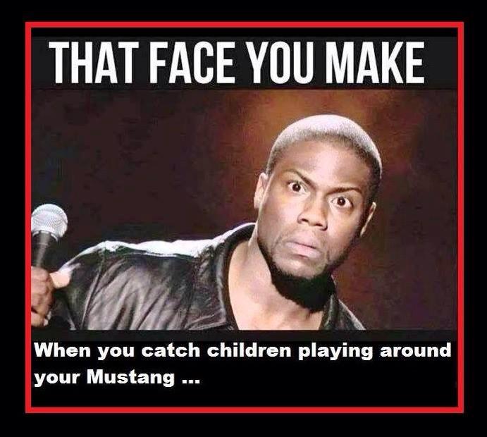 BlueOvalProbz's tweet photo. Nothing is quite as unnerving as a #FeralChild playing too close to the #Mustang. #ThatsAProb http://t.co/uwQh1M0aVt