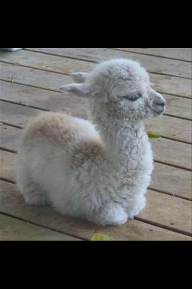 FUCKING GET ME ONE PLEASE