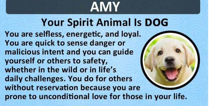 Sounds about right... What do you think? 😊 http://t.co/fIMEU64uck<a href="/tag/manyvids"class="tags"><span>#manyvids</span></a>