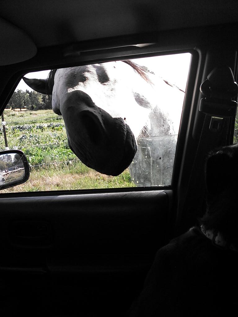 splitriverfarm tweet picture