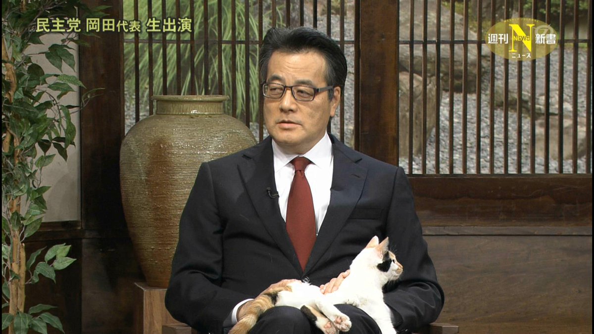 これはずるい 猫のにゃーにゃ 民主党 岡田代表に懐きまくりで膝の上から動かず 週刊ニュース新書 Togetter
