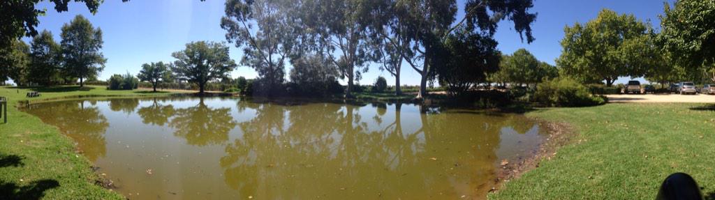 LizJeffers's tweet photo. A good day for it @allsaintsestate http://t.co/vpTGTG5L0c