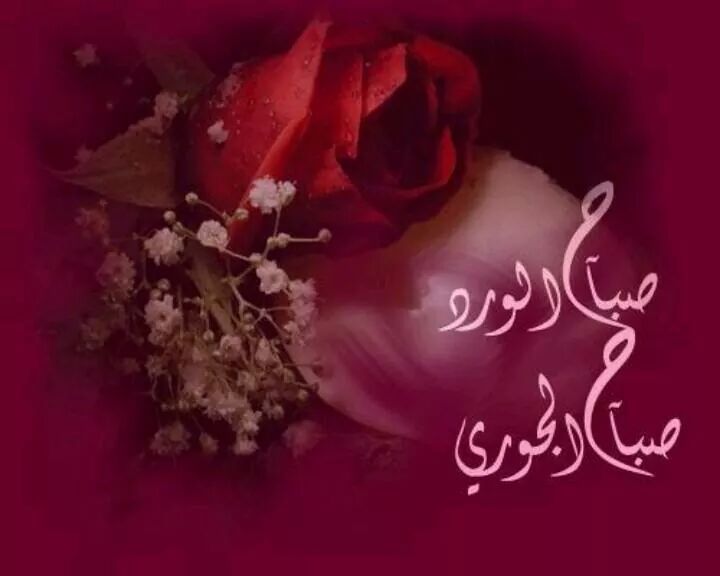 alaa19829501's tweet photo. أدعو الله رب لوجود أن يحرسكم من كل حسود
وأن يحفظكم من كل حقود
ويغفر لكم في كل سجود
وأن يرزقكم لأبعد الحدود
صباح الخير http://t.co/yTil6wiecV