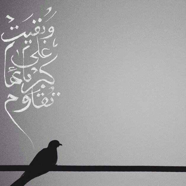 x_9024 tweet picture