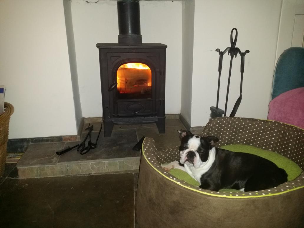 Guillemot Cottage (GuillemotCot) Twitter