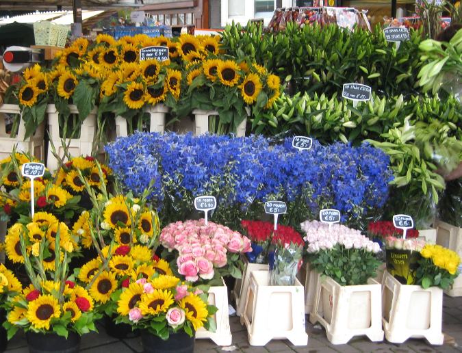 postandpaperSF's tweet photo. Friday Five : First Day of Spring http://t.co/gItnBjRQob #fridayfive http://t.co/t3QSxgzYyk