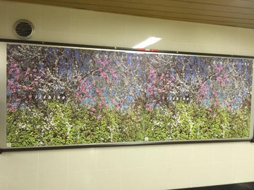 浅井慎平の現在 海岸美術館が閉館 俳句といいちこ 息子は陶芸家 アスネタ 芸能ニュースメディア
