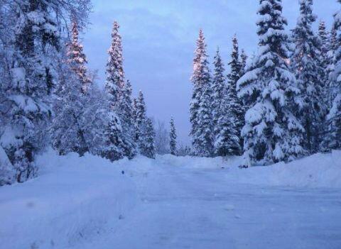 AlaskaWorld tweet picture