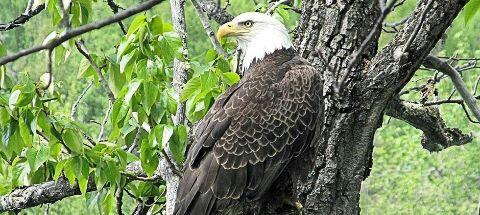 AlaskaWorld tweet picture