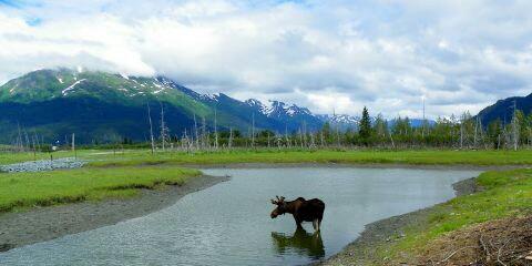 AlaskaWorld tweet picture