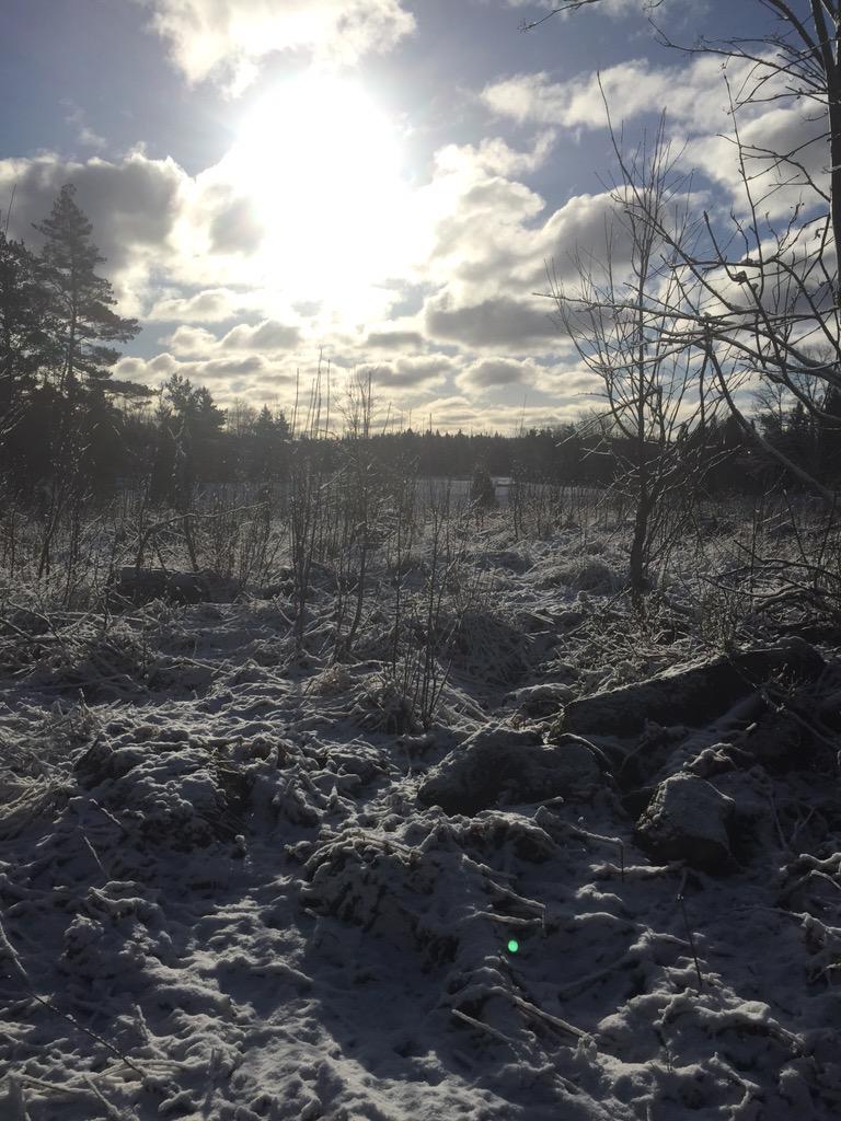 Mikael Berg (@_Micke_Berg_) / Posts / X