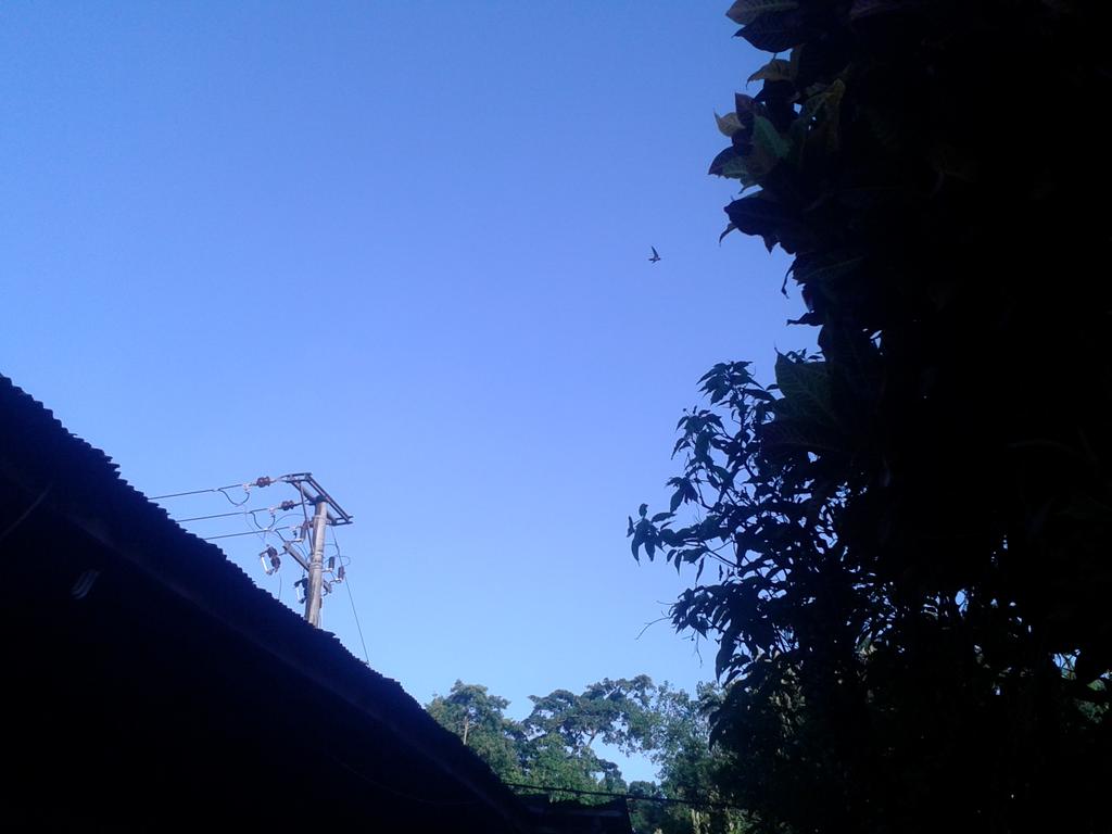 egameiliana_'s tweet image. #HappySilentDay bali #NoPolution#noasapkendaraan #iritbensinsebali