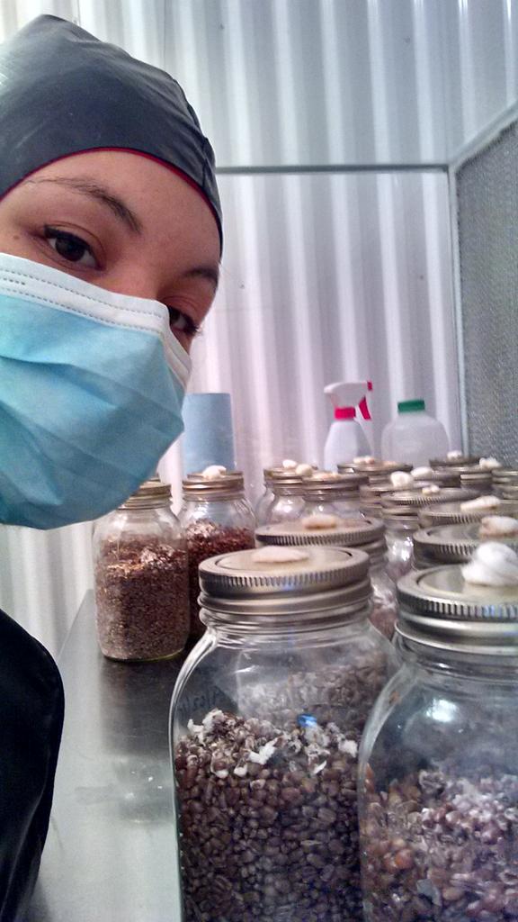 Dominique Thériault tweet media