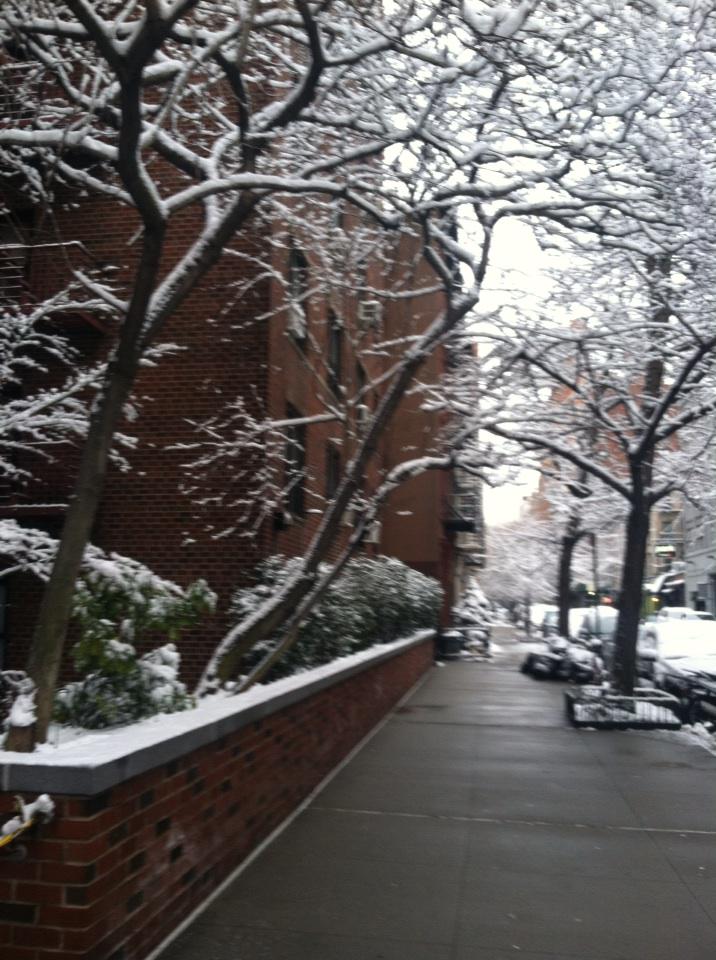 CDavisEvents's tweet image. #Firstfulldayofspring?