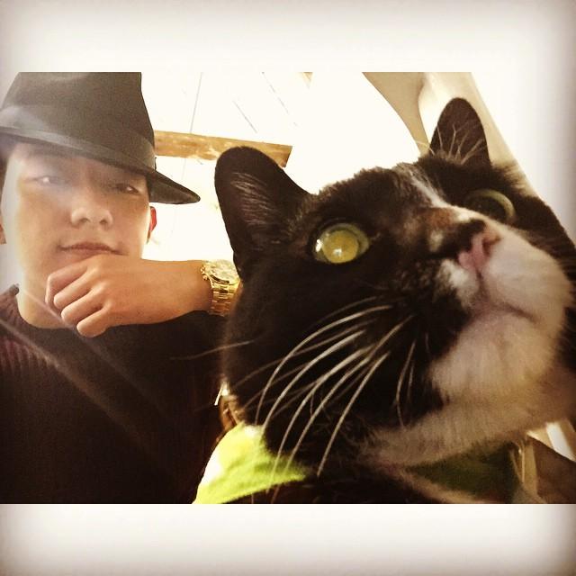 埋め込み画像への固定リンク