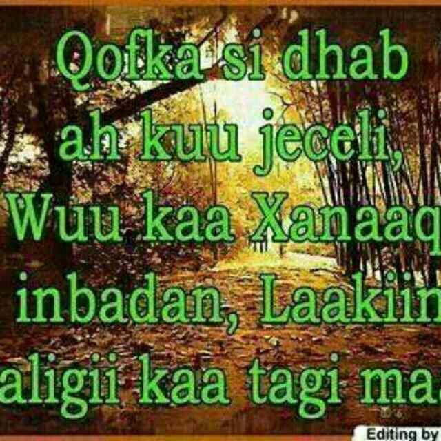 Cabdimaslah's tweet photo. http://t.co/MF3QXR4usq
