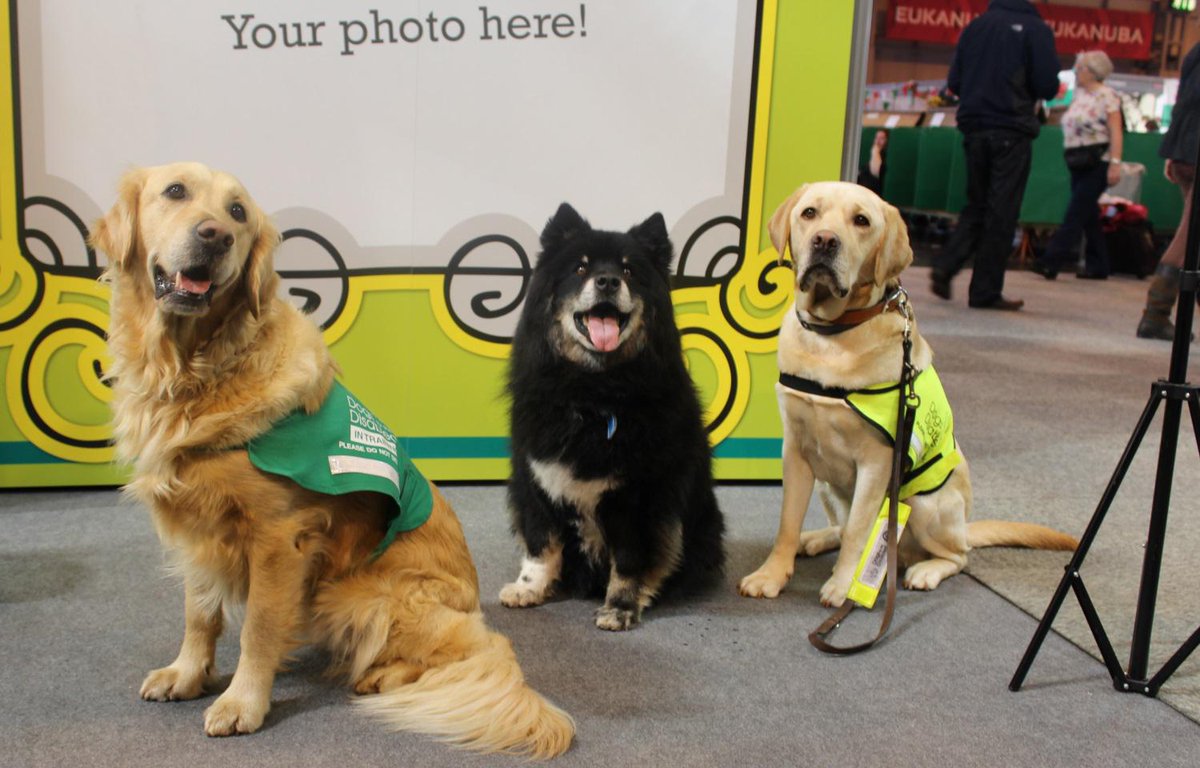 DogsForGoodUK's tweet photo. Good luck to @4MenAndADog off to Finland today to retrace Osa's ancestry &amp; raise funds for us! http://t.co/kn4kYSqxlC http://t.co/rjUpsT6OWO