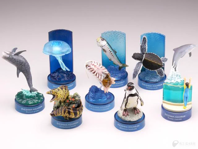 新江ノ島水族館 on X: 