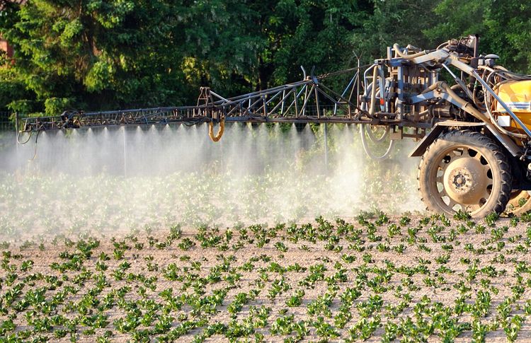 roques76's tweet image. “@libe: Cinq pesticides, dont le Roundup, classés cancérogènes bit.ly/1HdXI3U http://t.co/NHwHAHG0yn”