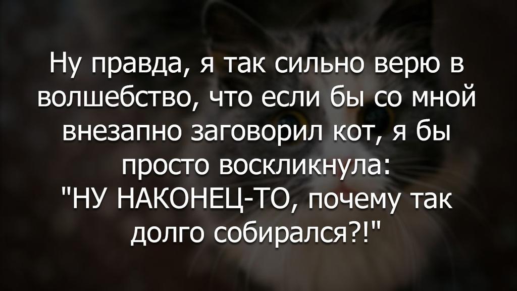фразы про магию