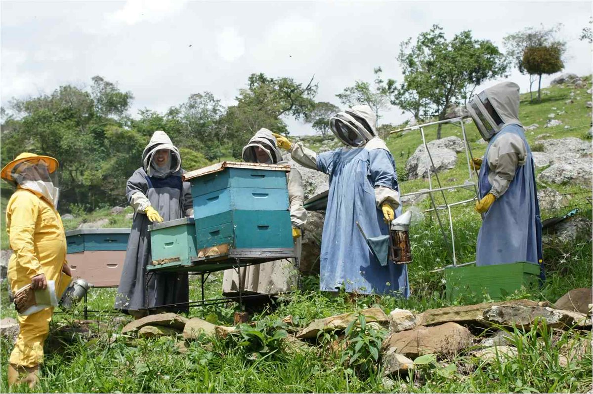 Felicitaciones Prof. Raúl Casanova premio obtenido Concurso Internacional d Fotografia realizado en España <a href="/SOVENAPI/">Soc Ven Api</a>