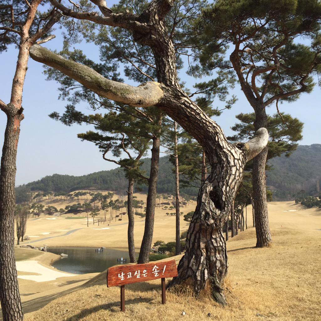 Ykpark1's tweet photo. 여름같은 날씨에  윈체스트안성 에서 가까운 지인들과 즐거운 라운딩 http://t.co/vNnUwhDcU6