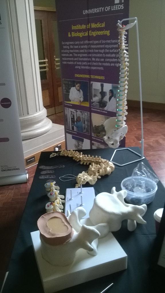 All things spine... #LeedsFestivalofScience