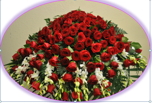 josephchuras's tweet photo. https://t.co/sdrC4rQgYf
Online Florists http://t.co/DSrxvSABN1