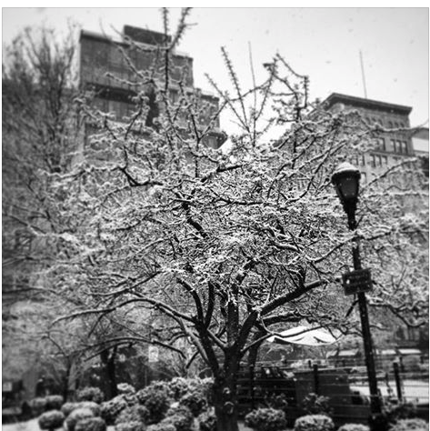 ViceRoyMinstra's tweet image. No matter how long the winter, spring is sure to follow.
#firstdayofspring #Seconddayofspring