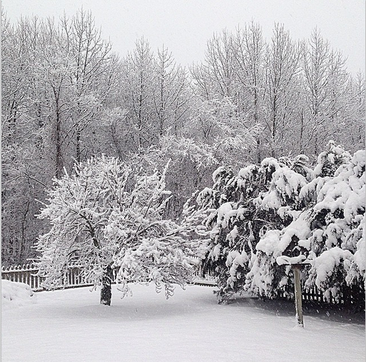 ViceRoyMinstra's tweet image. No matter how long the winter, spring is sure to follow.
#firstdayofspring #Seconddayofspring