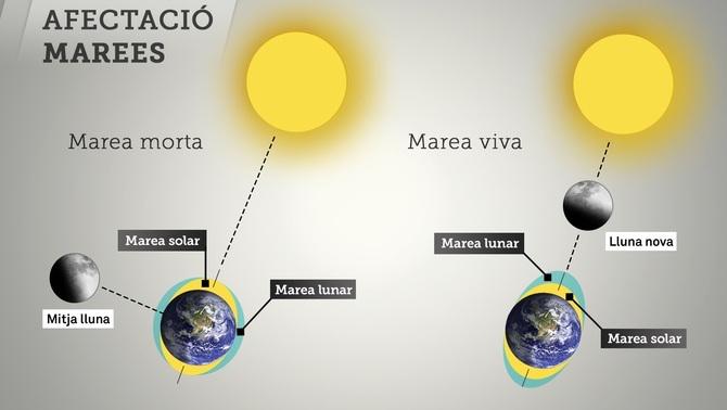 324.cat on Twitter: "Hi ha marees vives i mortes. T'expliquem què són i com  funcionen #mareaviva http://t.co/9fmdMoeRne http://t.co/TFNWlF1TYk"