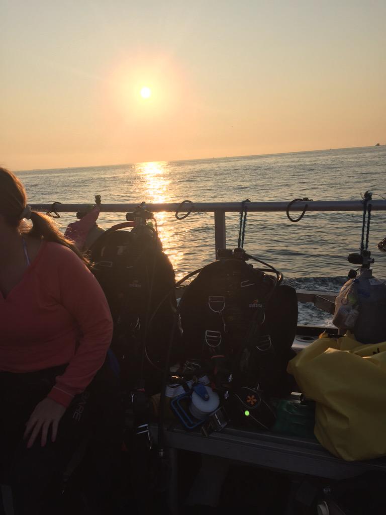 Alex_Lo123's tweet photo. Shark Dive Time👽 http://t.co/ztz7DtlGwH